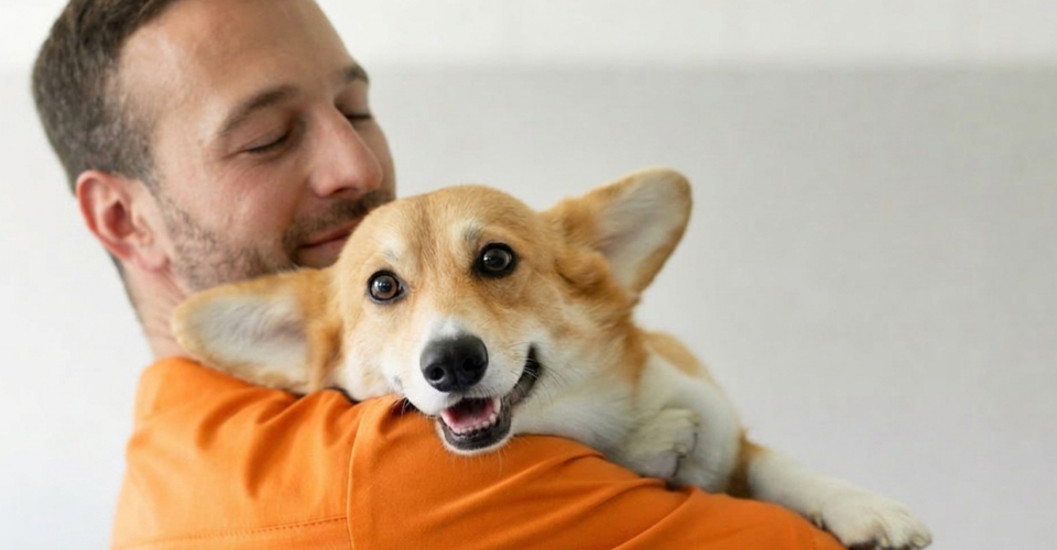 A vet wearing orange scrubs holds a Corgi as he shares vet advice on understance pet cancer