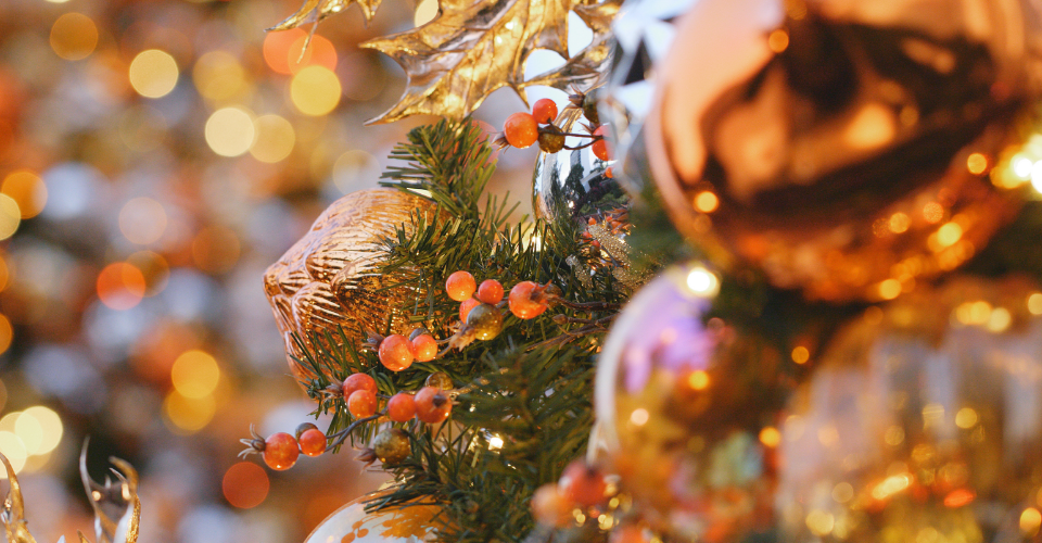 THE ULTIMATE FESTIVE SEASON SURVIVAL GUIDE