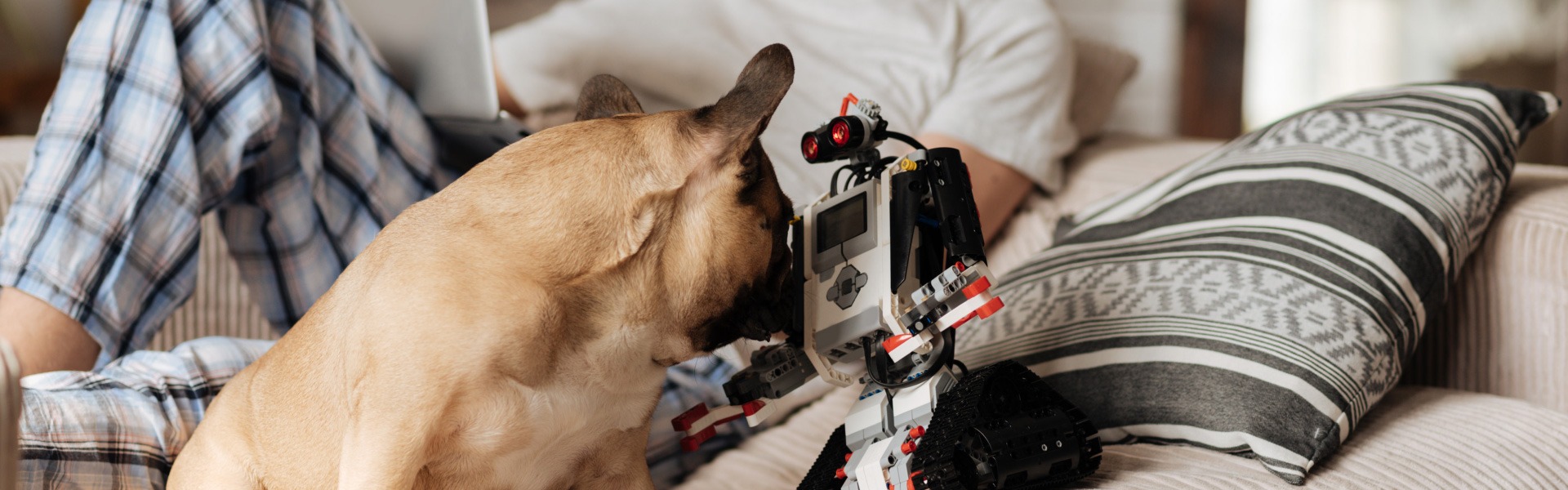 SIT, ROBOT. MECHATRONIC METAL POOCHES FTW.