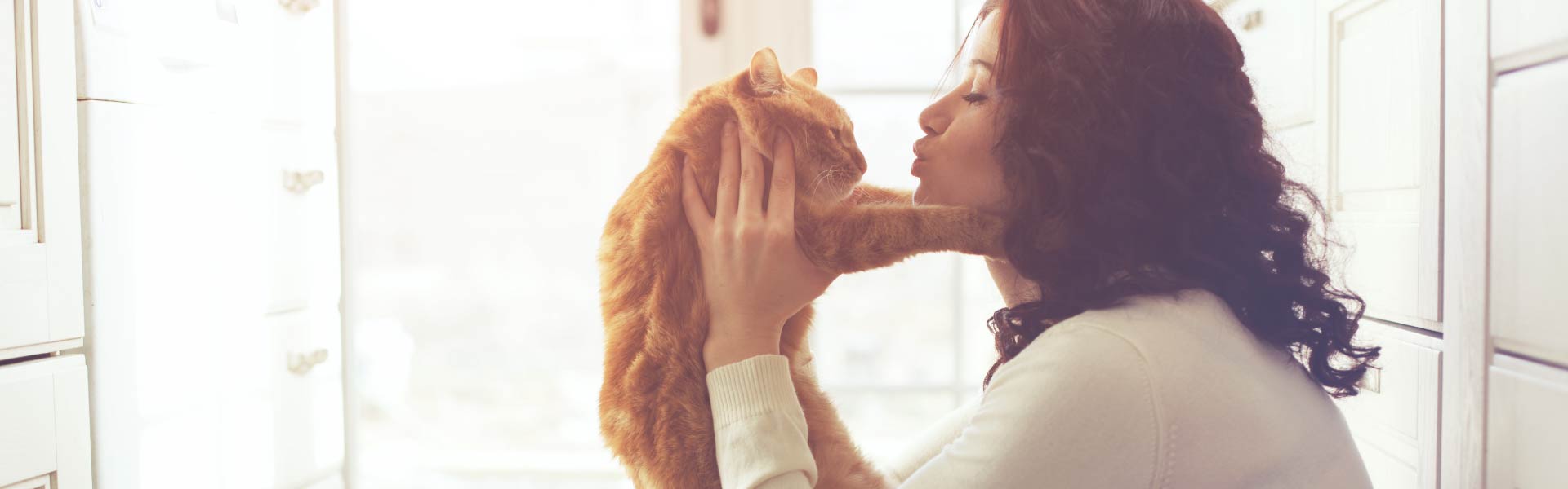 WHAT YOU NEED TO KNOW ABOUT PETS AND ANXIETY