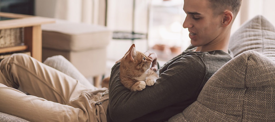 Dr. Trudie Prinsloo on The house rules for pets in complexes 2