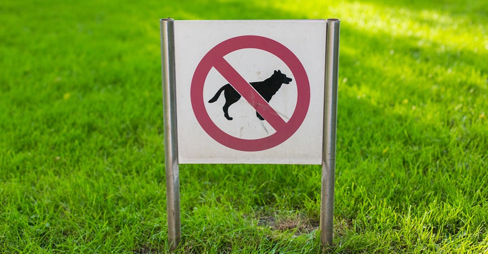 No dogs signboard