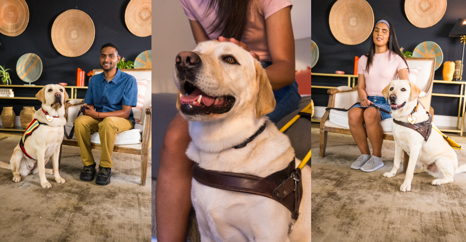 THE HEART-WARMING WORLD OF ASSISTANCE DOGS