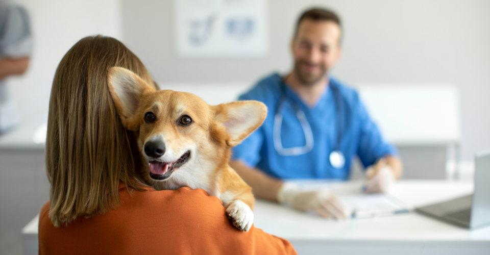 HEREDITARY CONDITIONS: IS YOUR PET COVERED?