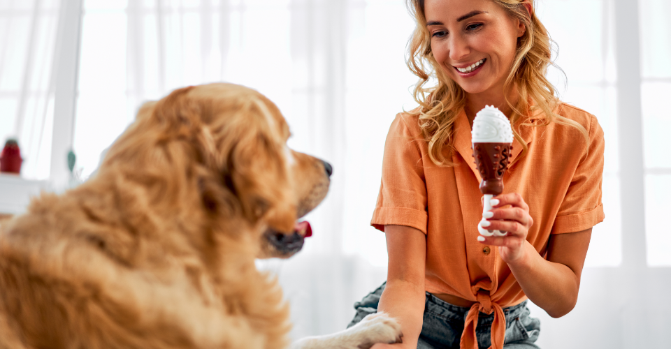 WHAT MOTIVATES YOUR PET?