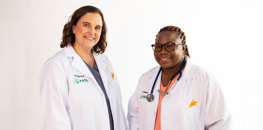 BIG-HEARTED VETS: OUR TOP TAILS