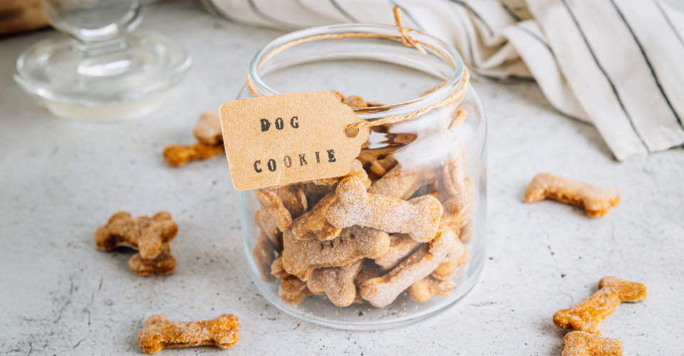 5 HOLIDAY TREAT RECIPES FOR PETS