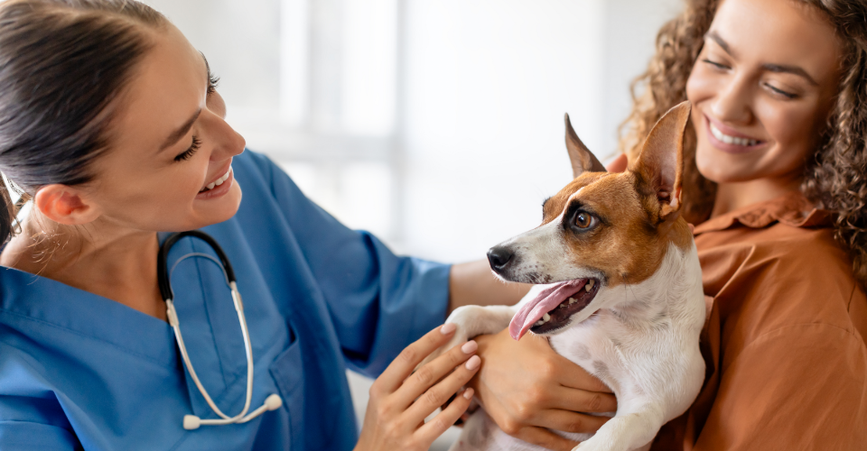 DOES PET INSURANCE COVER PRE-EXISTING CONDITIONS?