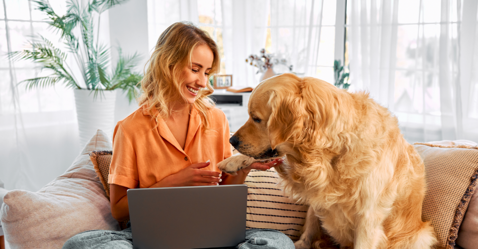 7 WEIRD THINGS PET PARENTS SEARCH