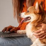 A pet parent sitting with her dog, researching the benefits of online insurance on her laptop