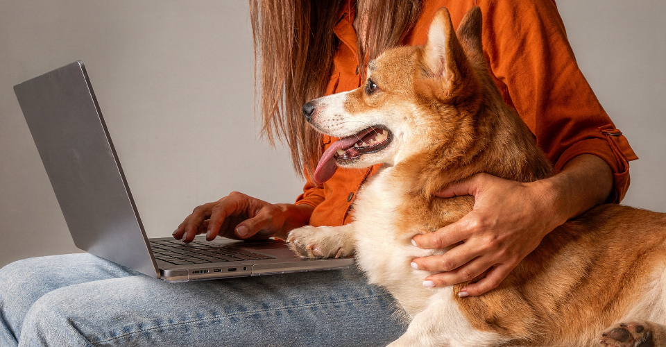 ACE YOUR BENEFITS WITH ONLINE INSURANCE