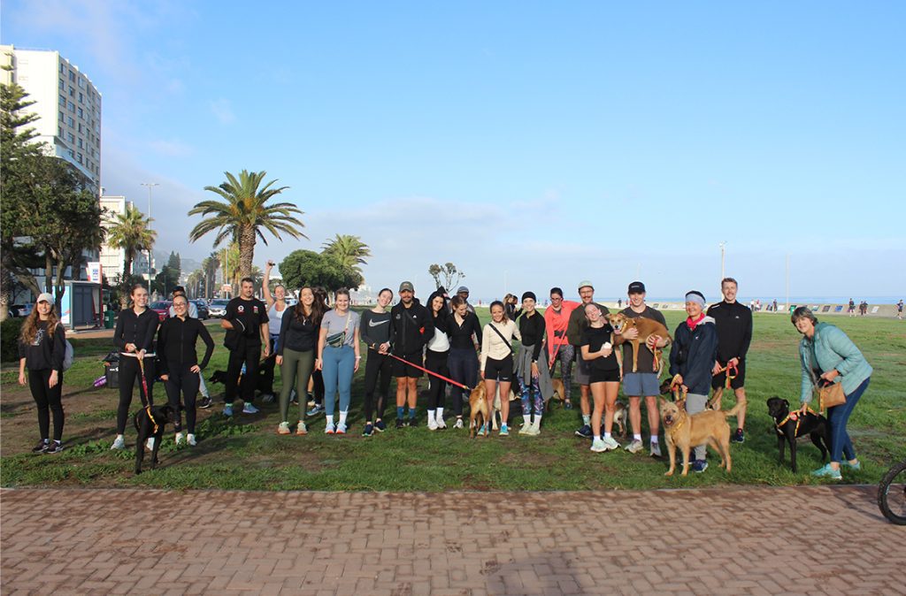 FROM “UNADOPTABLE” TO UNSTOPPABLE: HOW RUN FOR THE DOGS IS CHANGING LIVES