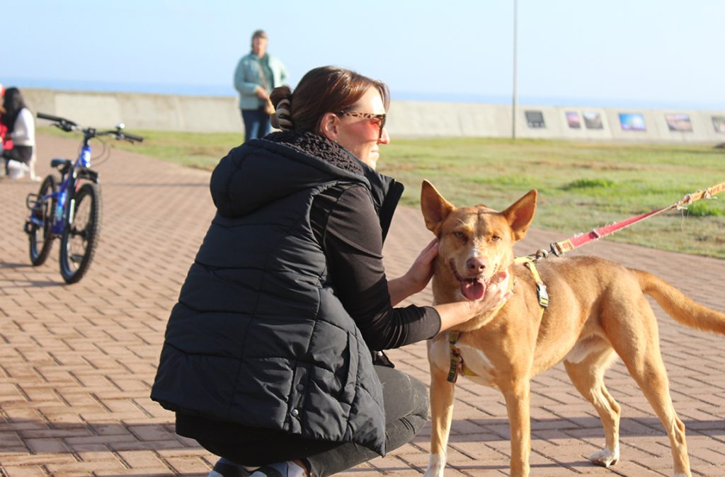 Run for The Dogs charity event participant giving cuddles to a shelter dog.