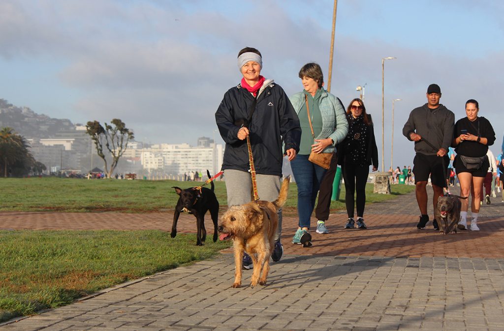 Participants and shelter dogs at the Run for The Dogs charity event.