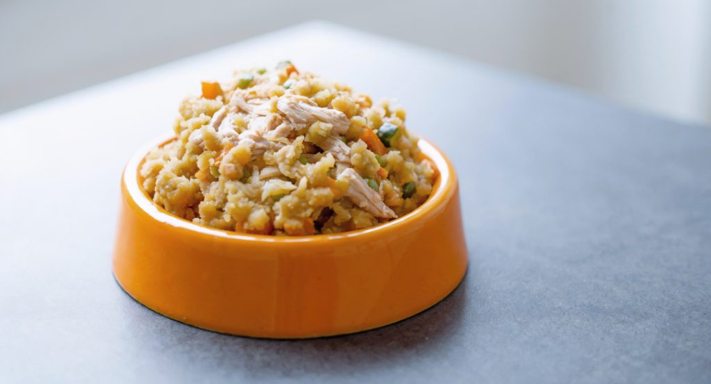 An orange dog bowl filled with turkey and veggies