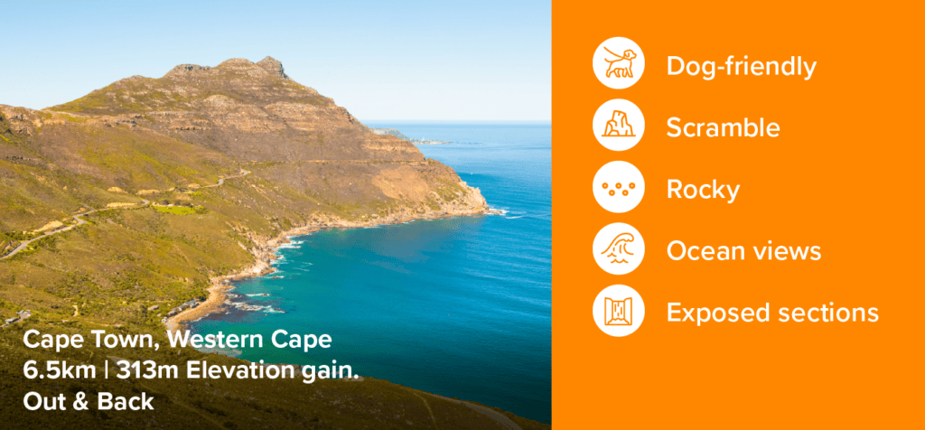 Chapmans peak pet friendly hiking trail in Cape Town