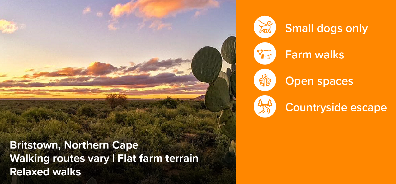 Kambro Campsite And Farm Walks