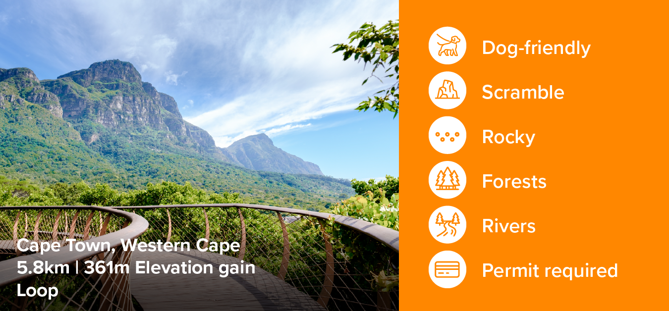 Kirstenbosch Gardens Pet Friendly Trails