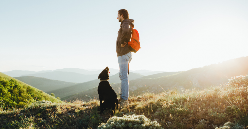 DOG-FRIENDLY HIKING TAILS IN SOUTH AFRICA