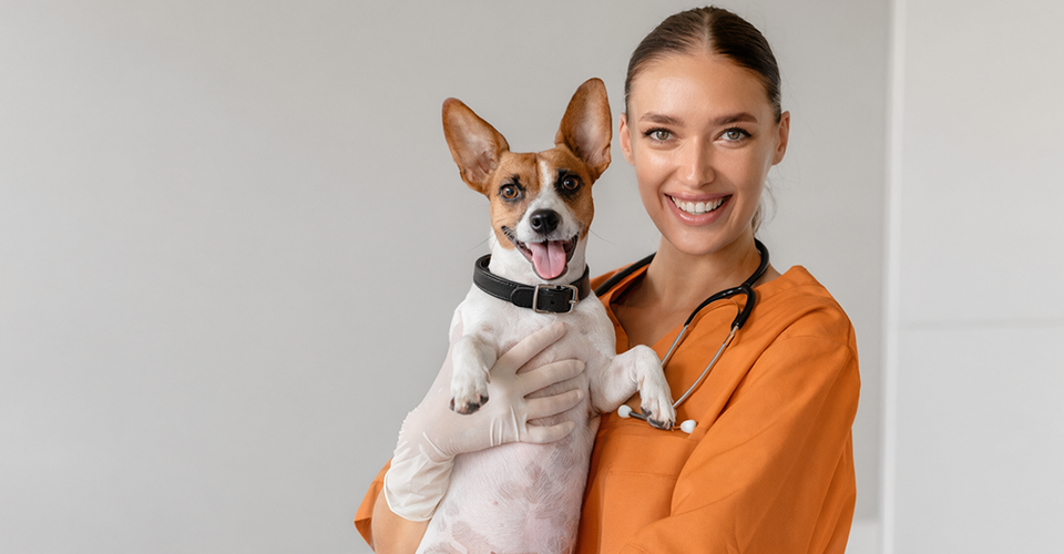 A female vet holding a puppy as the celebrate 15 years of Dotsure pet insurance