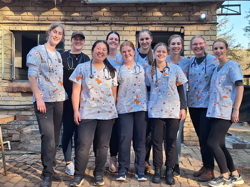 Dr Annarie Greyling and her team at the WanderVet Animal Welfare Organisation sterilisation drive at Sonheuwel on Mondela Day, 18 July 2026.