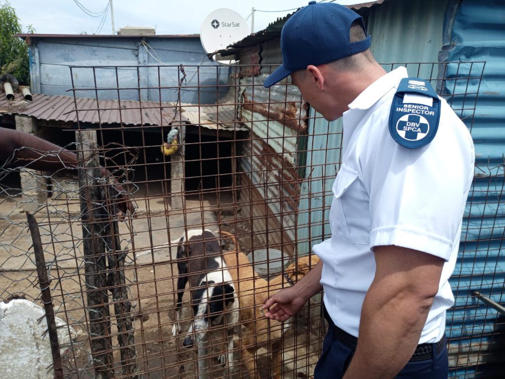 NSPCA Senior Inspector conducting an inspection for pet wellness