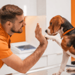 A young vet interacting with his pet patient as he celebrates 15 years of pet care with Dotsure