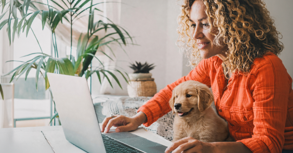 A women with a dog on her lap researching and comparing pet insurance plans in SA on her laptop