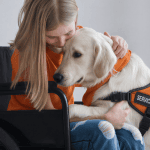 A handler sitting in a wheelchair holding a type of service dog